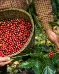 Colombia Reserve