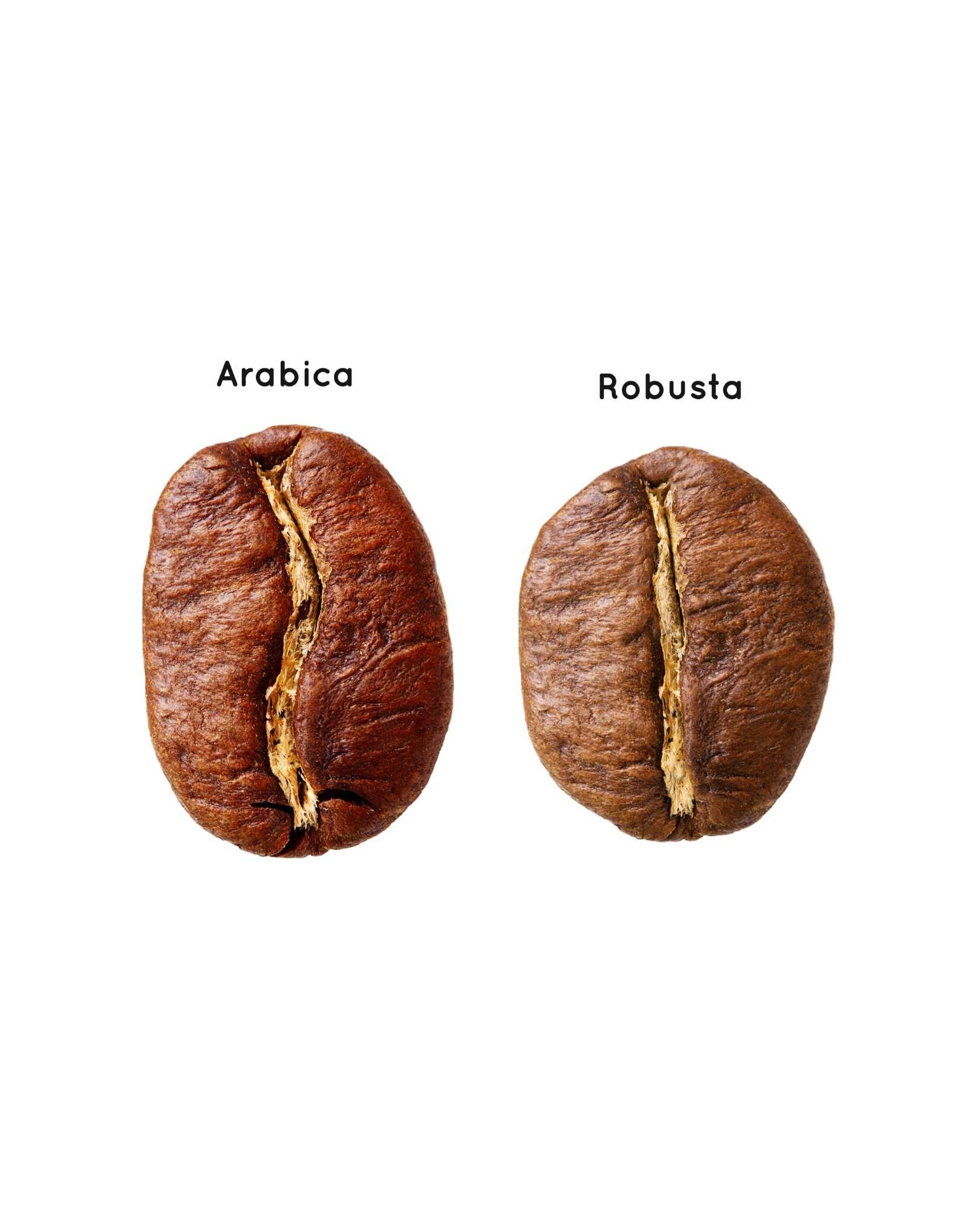 Colombia Reserve