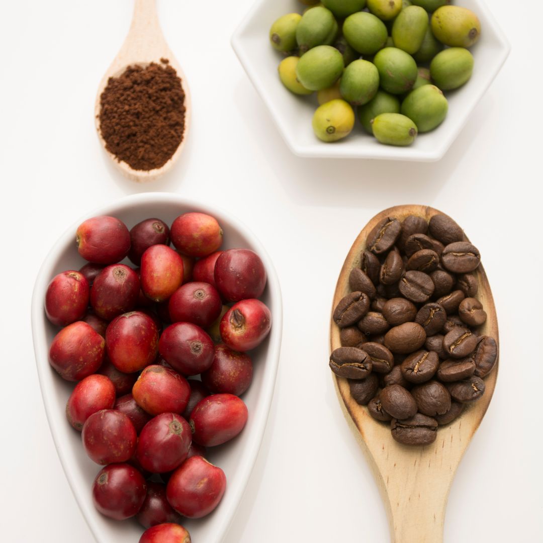 Coffee cherries, green coffee beans, ground coffee, and a wooden spoon with roasted coffee beans on a white background.