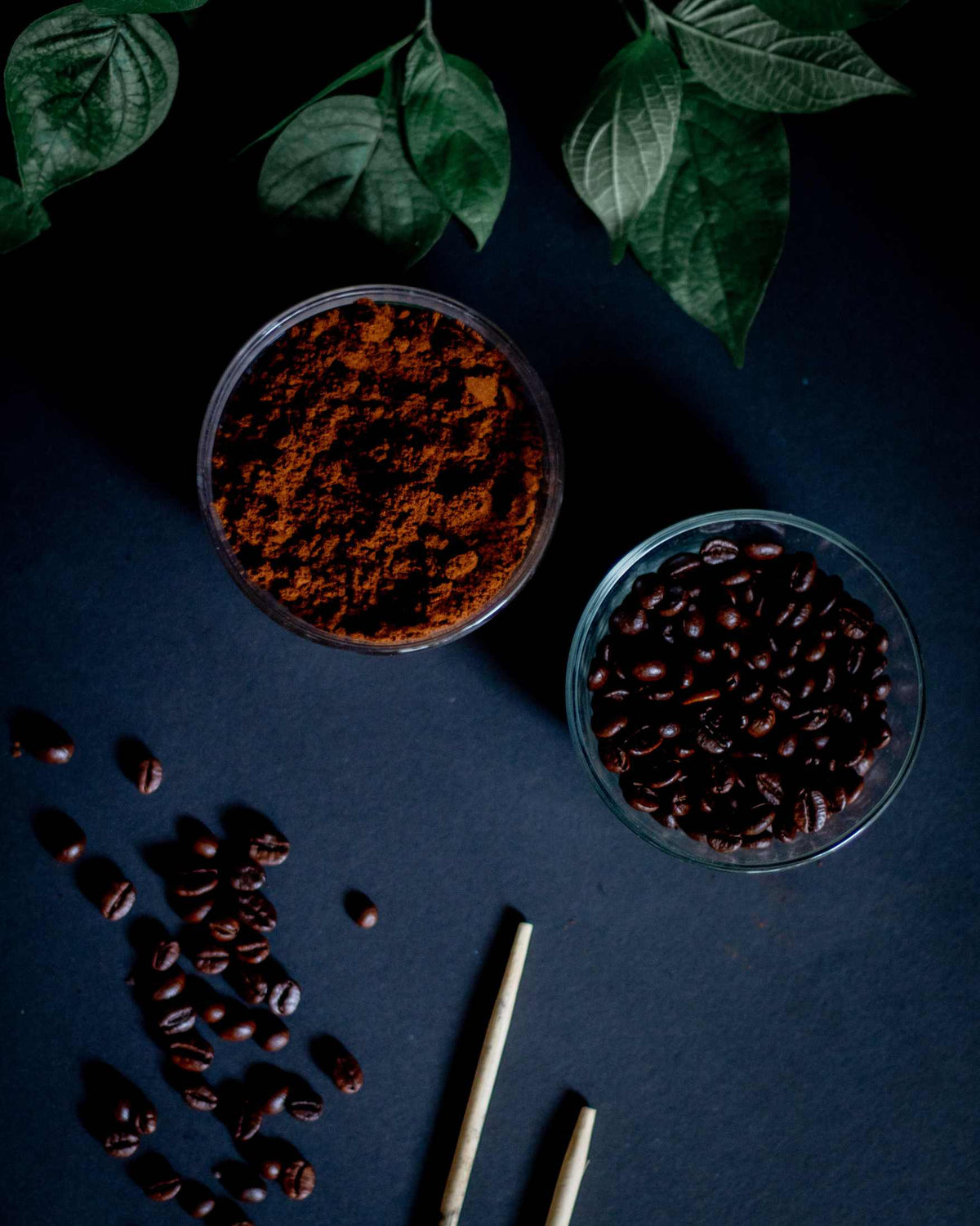 Two clear bowls containing ground coffee and whole coffee beans on a dark navy surface, with scattered coffee beans and green leaves around them.