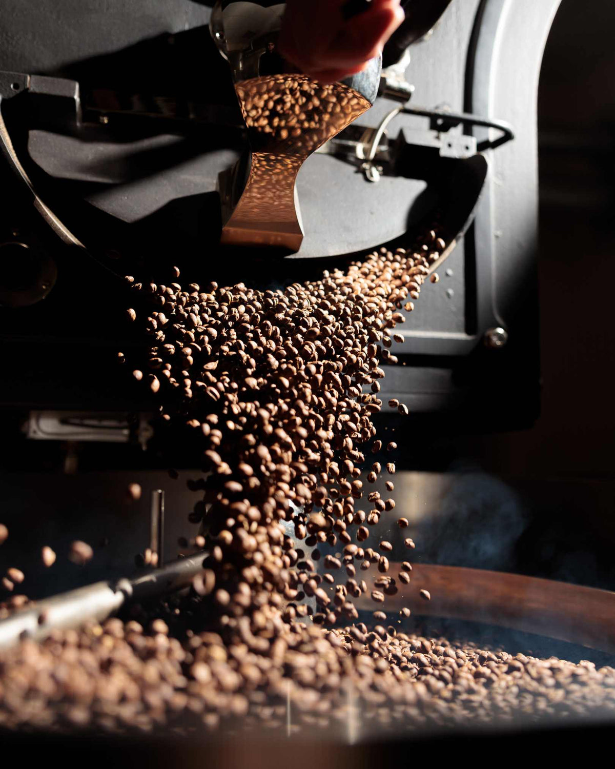 Roasted coffee beans cascading from a metal hopper into a collection tray, with a hand partially visible at the top of the machine in dramatic warm lighting.